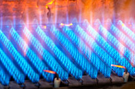 Brandesburton gas fired boilers